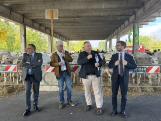 Alba, la 104&ordf; Rassegna Bovina premia gli allevatori del territorio