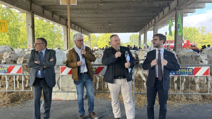 Alba, la 104ª Rassegna Bovina premia gli allevatori del territorio