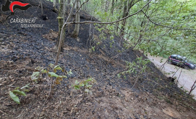 Incendi dolosi nel Cuneese, indagato un volontario antincendio