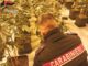 Asti / Prosegue l'indagine dei Carabinieri sul traffico di droga: scoperta una piantagione con oltre 1.200 piante di marijuana