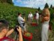 Una troupe cinese ha realizzato un documentario sull'Asti Docg