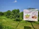 Nuovo raccolto di noci e mandorle del Piemonte: la Life di Sommariva Perno continua a crederci