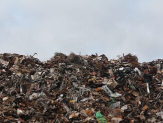 Dal rapporto Ecomafie di Legambiente: