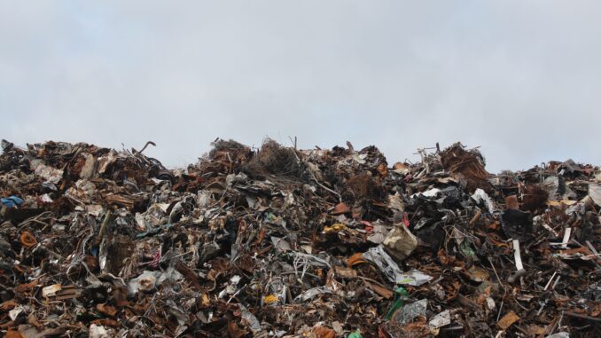 Dal rapporto Ecomafie di Legambiente: