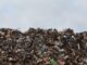 Dal rapporto Ecomafie di Legambiente: