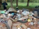 Grandi masse di rifiuti rinvenuti a Pollenzo e vicino al Tanaro 1