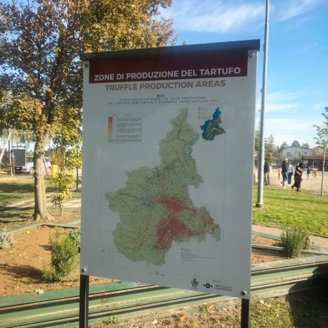 L’ex sferisterio di Roddino rinasce nel segno della natura 1