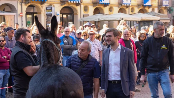 La diretta / Ad Alba si corre il Palio degli asini
