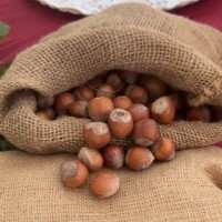 Fiera nocciola Cortemilia 9