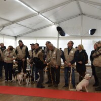 Fiera del tartufo di Canelli 9