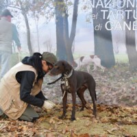 Fiera del tartufo di Canelli 6