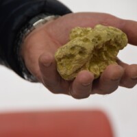 Fiera del tartufo di Canelli 5