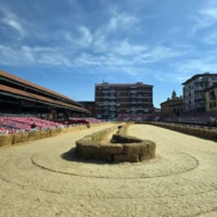 La diretta / Ad Alba si corre il Palio degli asini 3
