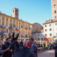 La diretta / Ad Alba si corre il Palio degli asini 1