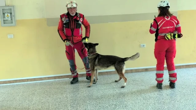 Bra esercitazione protezione civile 4