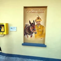 Bra celebra le Penne nere: inaugurata l'area verde dedicata agli Alpini impegnati nelle missioni di pace 3