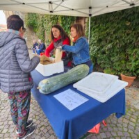 Castagnata a Bossolasco