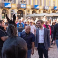 La diretta / Ad Alba si corre il Palio degli asini